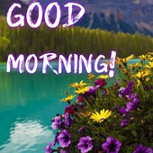 Vinod kumar k