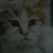 sher khan