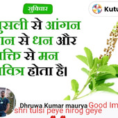 Dippatel