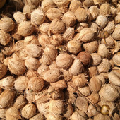 Jabyas