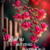 Ajithvijay
