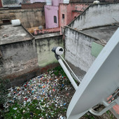 Ravi  Kumar