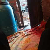Raaza vivo