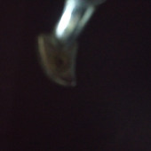 Suiiuuaso