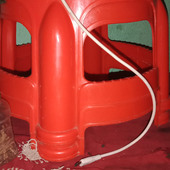 Hafija