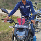 Mobben