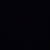 Iutert
