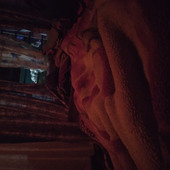 Xd bbe