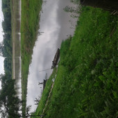 Bhamar