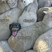 Gxmgky