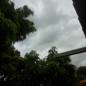 Josa