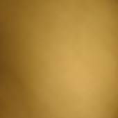 Laidu