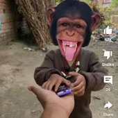 Rahul076689