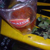 Muss Halifax ke