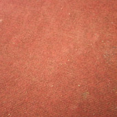 Thevs