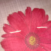 Ajay02