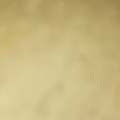 Tilapilo