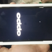 cibai999