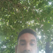 Sisir Basuri