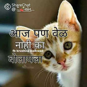 Ved13