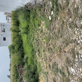 GAZI