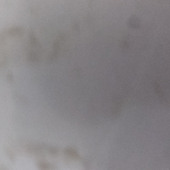 Avd