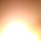 Gionee