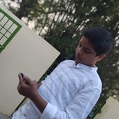 Panda_1367