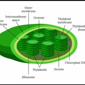 Don't know