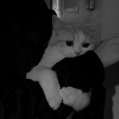 Nwhwhwhwh