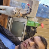 Hamid.safi
