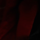 Joker1109822