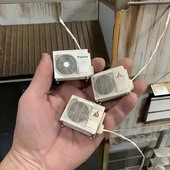 xbb