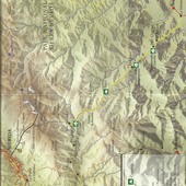 caura