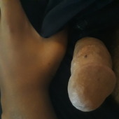 seddddd