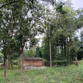 Bhavuk kund