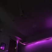 Tousiib220