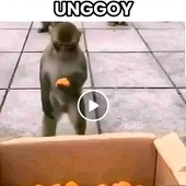 Niggadude2