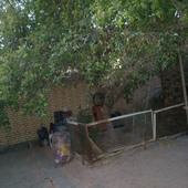 agil