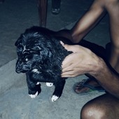 Vpin ton do