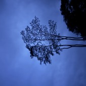 Mraju