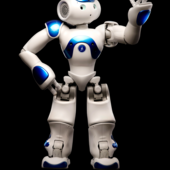 Jeb