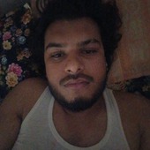 Fari233