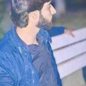 Sulman Ali