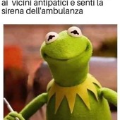 sexmind