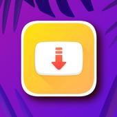 dinfc