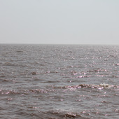 Rahdik
