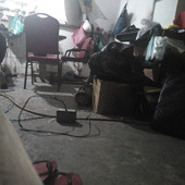 Buii