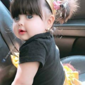 Aleyn
