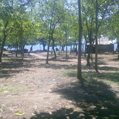oyet1